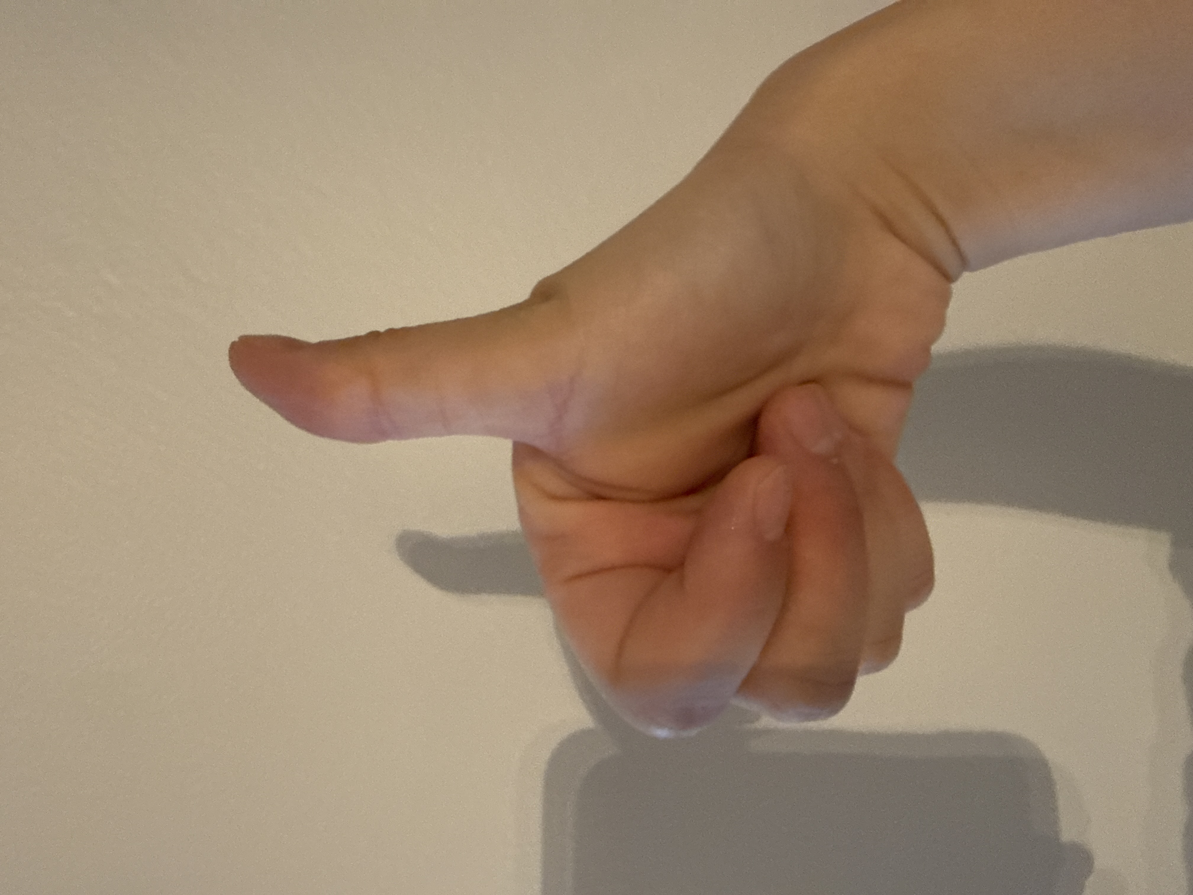 image.jpg